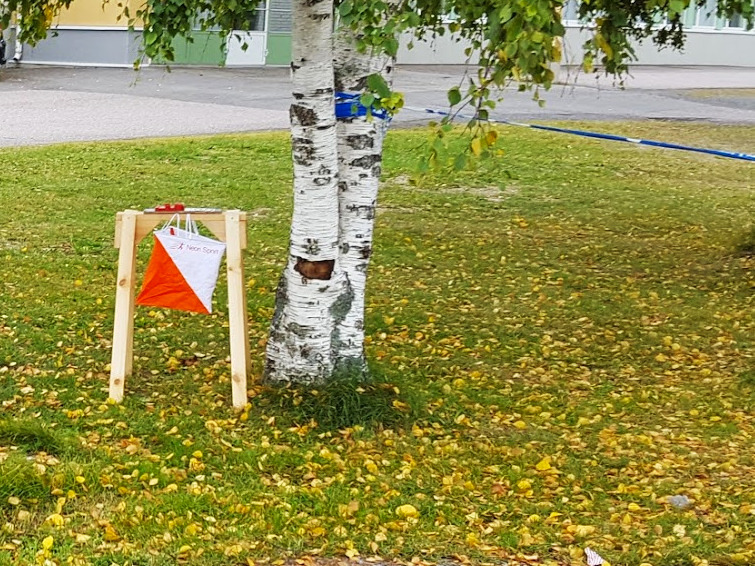 Talvisarja 2024